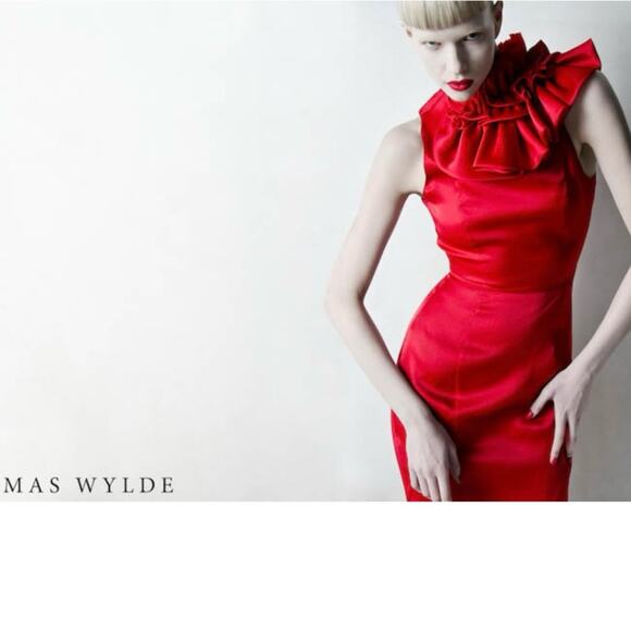 Thomas Wylde Red Ruffle Applique Silk Dress SZ S Fashion 2013 Spring Collection - Picture 1 of 15